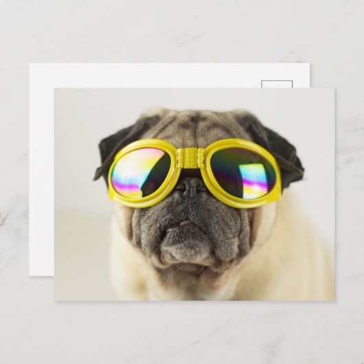 Pug with Goggles Briefkaart (Voorkant / Achterkant)