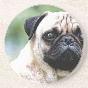 Pug Zandsteen Onderzetter