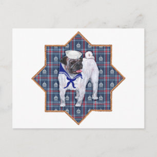 Pug Zeiler Briefkaart