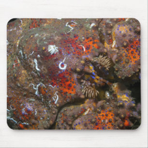 Puget Sound King Crab Mousepad Muismat