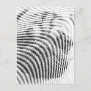 Puggengezicht Briefkaart