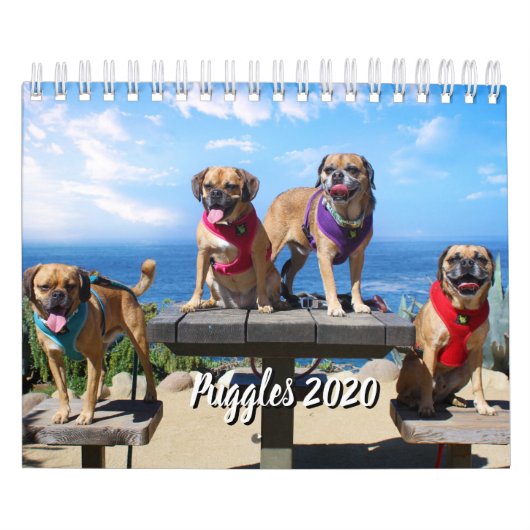 PUGGLE - 2020 CALENDAR KALENDER (Hoes)