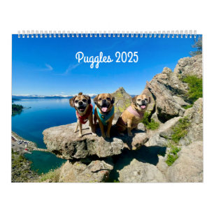 Puggle 2025 Kalender
