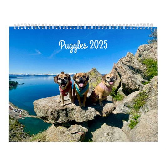Puggle 2025 Kalender (Hoes)