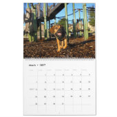 Puggle 2025 Kalender (Mar 2027)