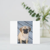 puggle briefkaart (Staand voorkant)