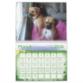 Puggle Calendar Kalender (Mar 2026)