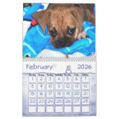 Puggle Calendar Kalender (Feb 2026)