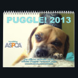 Puggle ! Calendrier 2013<br><div class="desc">C'est le Puggle ! Le calendrier 2013 a choisi par les 15.000 fans du puggle sur Facebook ! Le modèle pour chaque mois a été choisi par les fans en tant qu'élément de la reconstitution historique de PIC de profil. Si vous aimez le puggle comme tous les nous visite notre...</div>