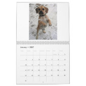Puggle ! Calendrier 2013 (Jan 2027)