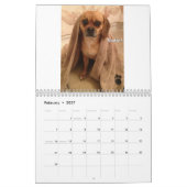 Puggle ! Calendrier 2013 (Feb 2027)