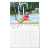 PUGGLE - CALENDRIER 2019 (Mar 2027)
