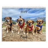 Puggle Calendrier 2022 (Protection)