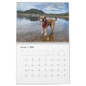 Puggle Calendrier 2022 (Jan 2026)