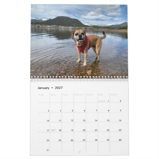 Puggle Calendrier 2022 (Jan 2027)