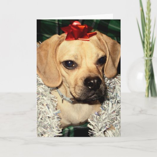 Puggle ! Carte de Noël (Devant)