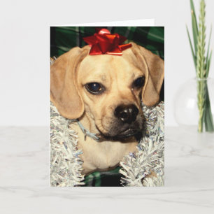 Puggle ! Carte de Noël