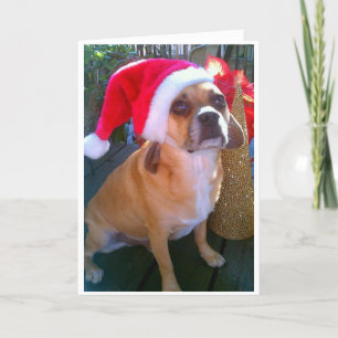 Puggle ! Carte de Noël