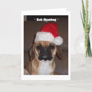 Puggle ! Carte de Noël