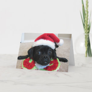 Puggle ! Carte de Noël