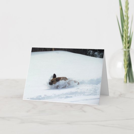 Puggle ! Carte de vacances (Devant)