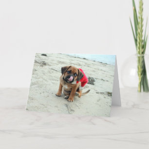 Puggle! feestdagenkaart feestdagen kaart