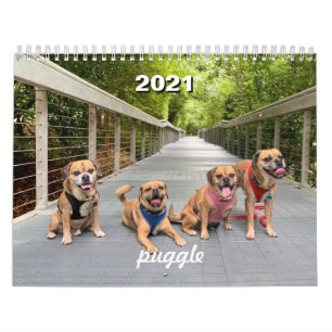 Puggle kalender 2021