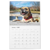 Puggle kalender 2021 (Jan 2027)