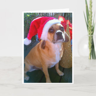 Puggle! Kerstkaart Feestdagen Kaart