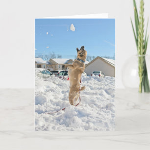 Puggle! Kerstkaart Feestdagen Kaart