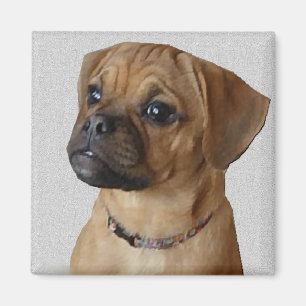 Puggle liefhebbers cadeaus magneet