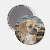 puggle magneet (Voorkant / Achterkant)