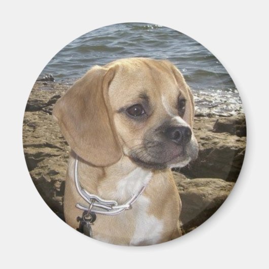 puggle magneet (Voorkant)
