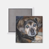 Puggle Magnet Magneet (Voorkant / Achterkant)