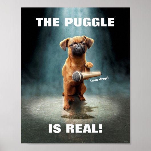 Puggle Mic Drop Poster (Voorkant)