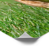 Puggle Op De Loop Poster (Hoek)