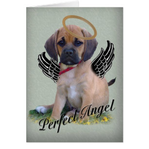 Puggle perfecte engelkaart op groen