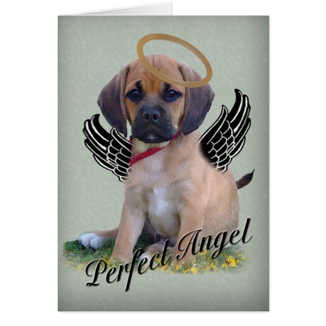 Puggle perfecte engelkaart op groen (Voorkant)