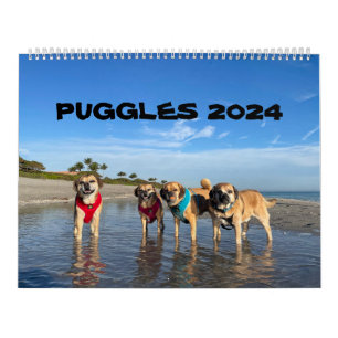 PUGGLES 2024 KALENDER