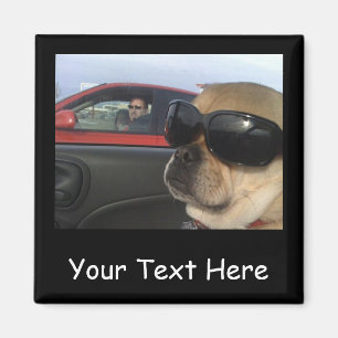 Puggles Magnet Magneet