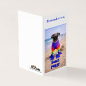 Puggy de la plage (Outside)
