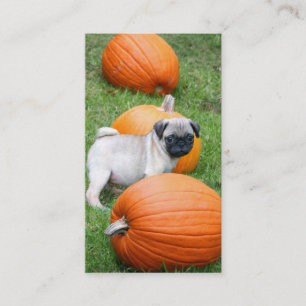 Pugpuppy in pompoenen visitekaartjes