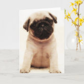Pugpuppy wenskaart kaart (Gele Bloem)