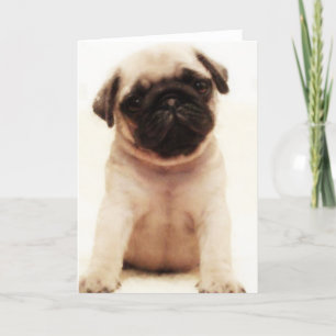 Pugpuppy wenskaart kaart