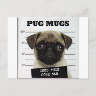 Pugs Briefkaart