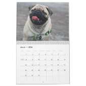 Pugs Calendar 2023 Kalender (Mar 2026)