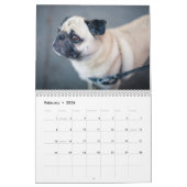 Pugs Calendar 2023 Kalender (Feb 2026)