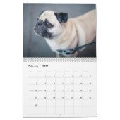Pugs Calendar 2023 Kalender (Feb 2027)