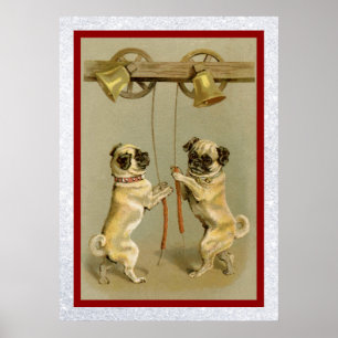 pugs die het poster van het nieuwe jaar belleren