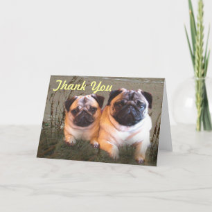 Pugs en de Kussen danken u kaarden Bedankkaart